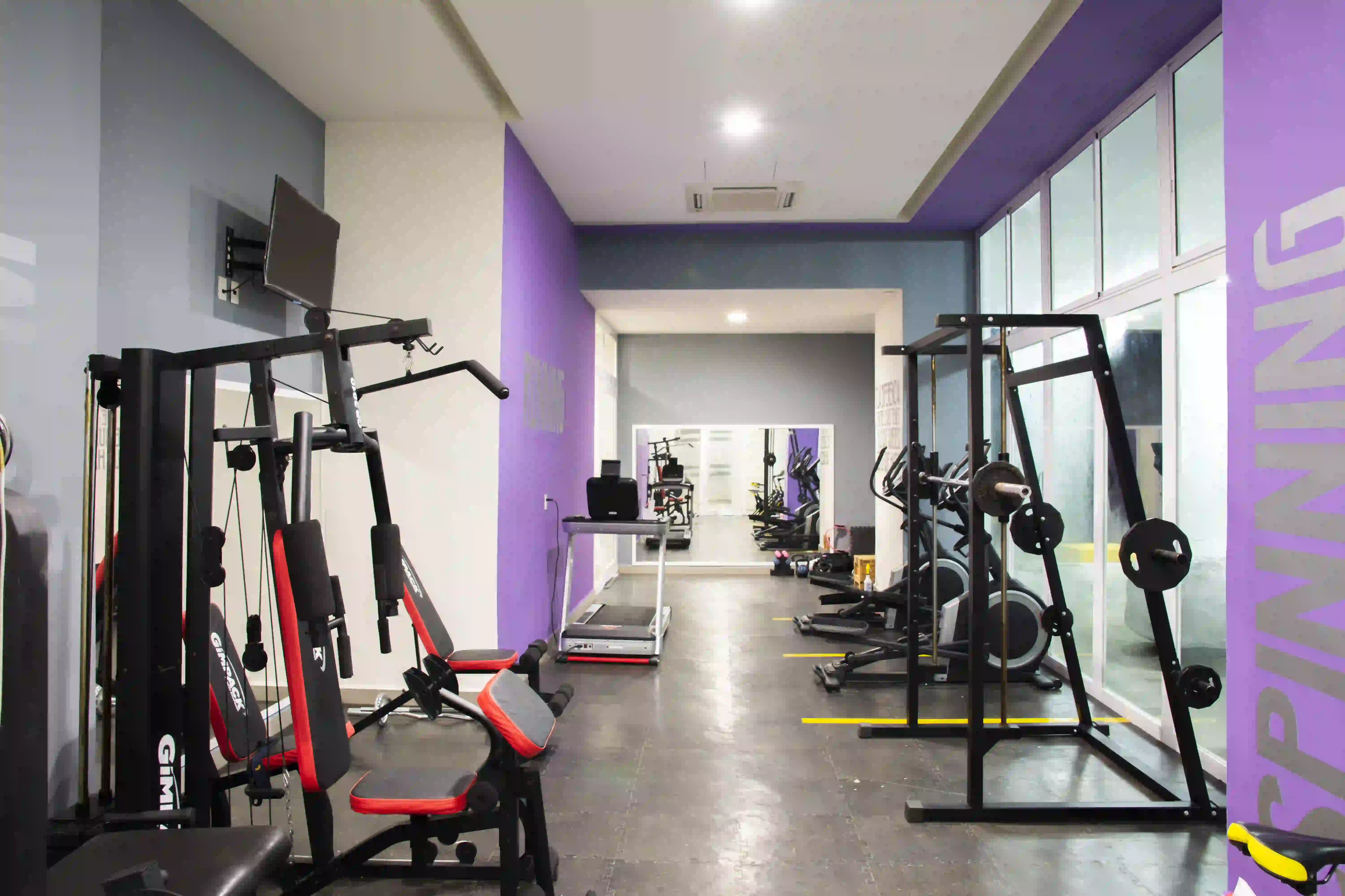 Gimnasio